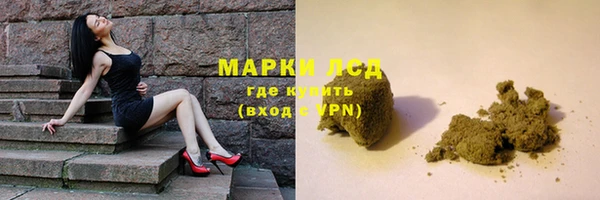 спиды Верея