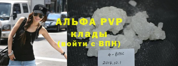 спиды Верея