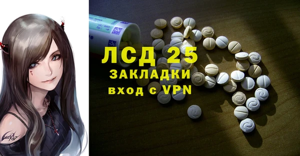 спиды Верея