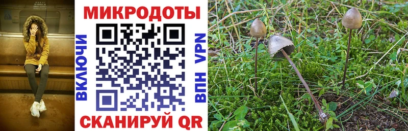 ОМГ ОМГ ССЫЛКА  Яровое  Псилоцибиновые грибы Psilocybe  где продают  